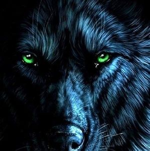 Meet your Posher, Steven lee small